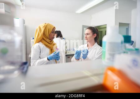 Female scientists working and talking in laboratory Stock Photo