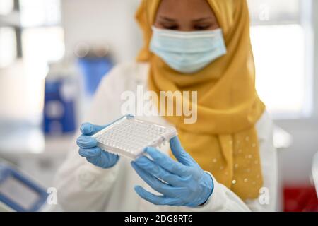 Female scientist in hijab and face mask with specimen tray Stock Photo