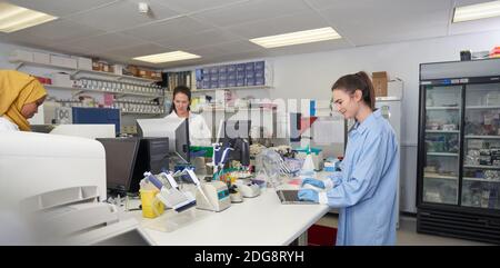 Female scientists working in laboratory Stock Photo