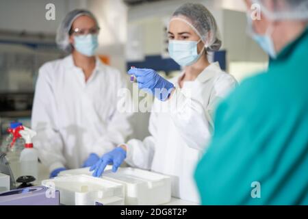 Female scientists in protective workwear examining specimen Stock Photo