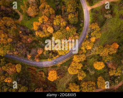 Birds-eye view of a black car passing around a bend along a tarmac road passing through a woodland in bright autumn colours in the Balagne region of C Stock Photo