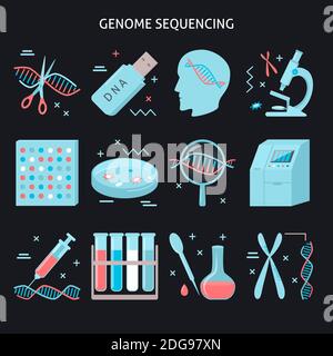 Collection of DNA research icons in flat style. Genome sequencing process symbols isolated. Medical illustration. Stock Vector
