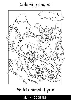 Vector coloring pages with cute lynx mom and two cubs in mountain area. Cartoon contour illustration isolated on white background. For coloring book, Stock Vector