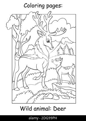 pa wildlife coloring pages