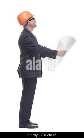 qualified architect reading the new drawing. isolated on a white Stock Photo