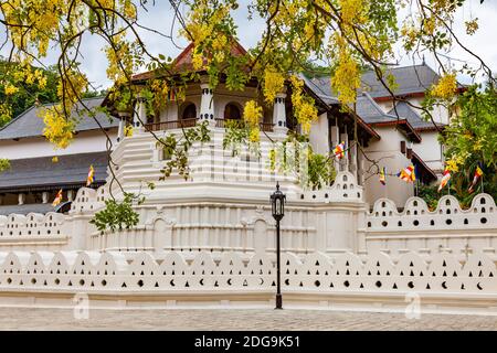 Temple of the Sacred Tooth Relic and the yellow flowers Stock Photo