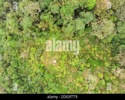 Overhead shot of the rainforest edge, Untouched primary rainforest at top. cultivated clearing with hut below. Near Puertp Quito in thw threatened Cho Stock Photo