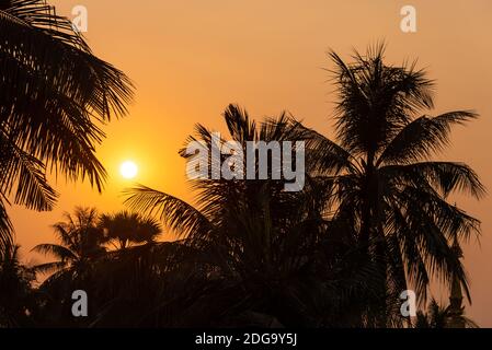 Tropical sunset with silhouettes of palm trees, summer and travel background Stock Photo