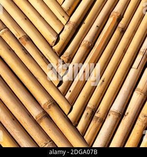 Abstract texture background of the bamboo wall Stock Photo