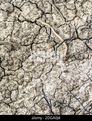 Dry Soil Texture Background Stock Photo