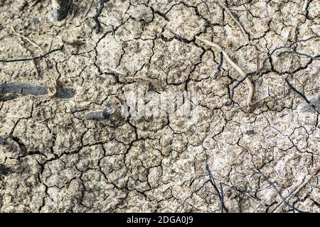 Dry Soil Texture Background Stock Photo