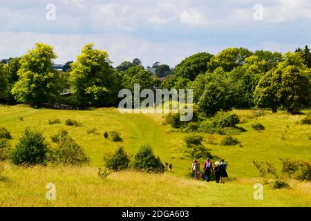 People walking through Tring Park, Tring, Hertfordshire, UK Stock Photo