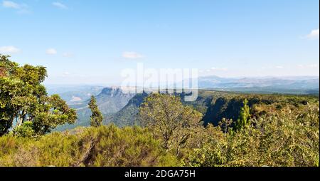 In  south africa    river canyon  plant  and water Stock Photo