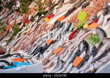 Various types of fish on display at fish market. Stock Photo