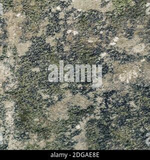 Grunge Camo Print Design Stock Photo