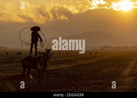 A Young Mexican Charro (Cowboy) Rounds Up A Herd of Horses Running Through The Field On A Mexican Ranch At Sunrise Stock Photo