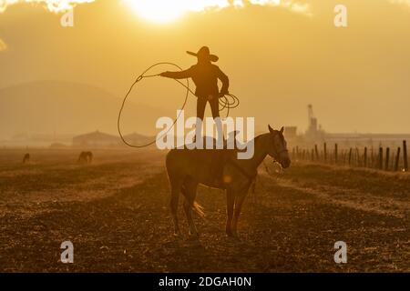 A Young Mexican Charro (Cowboy) Rounds Up A Herd of Horses Running Through The Field On A Mexican Ranch At Sunrise Stock Photo