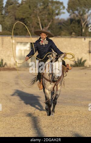 A Young Mexican Charro (Cowboy) Rounds Up A Herd of Horses Running Through The Field On A Mexican Ranch At Sunrise Stock Photo