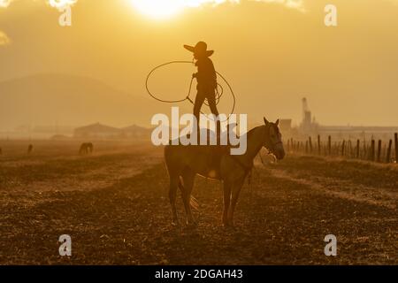 A Young Mexican Charro (Cowboy) Rounds Up A Herd of Horses Running Through The Field On A Mexican Ranch At Sunrise Stock Photo