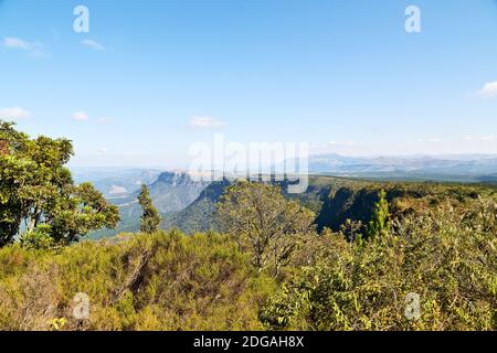 In  south africa    river canyon  plant  and water Stock Photo