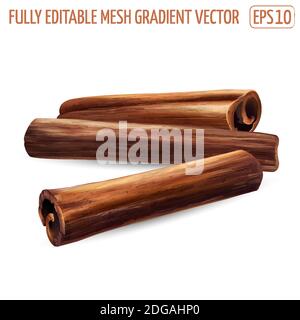 Three cinnamon sticks on a white background. Stock Vector