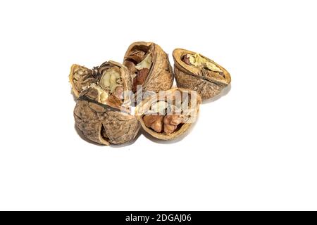 Group of broken walnuts Stock Photo