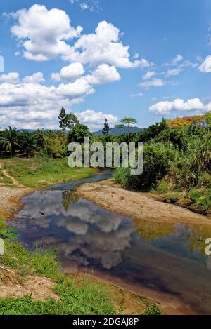 Walking in the tropical forest - Krabi - Thailand Stock Photo