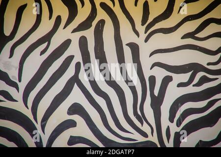 Seamless grungy pattern of zebra strips painting on the wall. Black and white zebra pattern texture on the dirty wall for background. Stock Photo