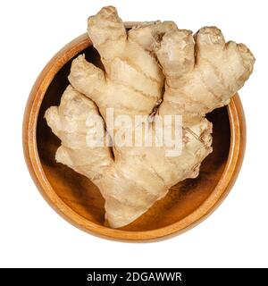 Fresh ginger root in a wooden bowl. Juicy and fleshy rhizome of Zingiber officinale, used as a fragrant kitchen spice and as folk medicine. Stock Photo