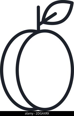 Apricot or plum icon. Vector linear icon, contour, shape, outline isolated on a white background. Thin line. Modern minimalistic design. Fruits Stock Vector
