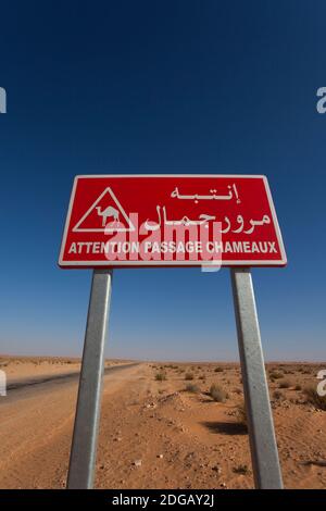 Camel crossing sign in a desert, Grand Erg Oriental, Ksar Ghilane, El Ksour, Kef Governorate, Tunisia Stock Photo