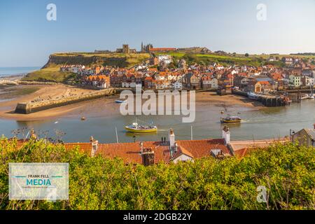 View of Whitby Abbey, St Mary's Church and Esk riverside houses, Whitby, Yorkshire, England, United Kingdom, Europe Stock Photo
