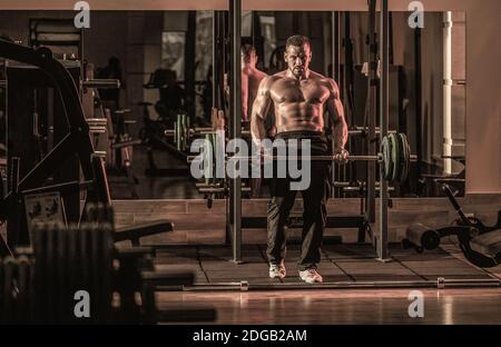 Arm with strong biceps and triceps. Torso with six pack and ab muscles.  Athletic belly and muscular chest. Workout and training activity in gym.  Sport fitness and wellness concept, vintage Stock Photo 