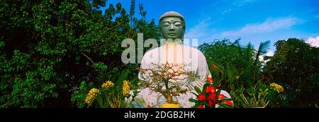 Low angle view of a Buddha statue, Lahaina Jodo Mission, Maui, Hawaii, USA Stock Photo