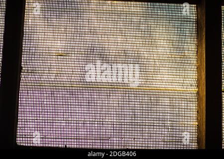 Old window mosquito wire screen plastic net protection from insect. Stock Photo
