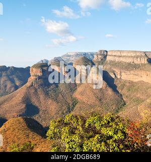 In  south africa    river canyon  plant  and water Stock Photo