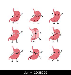 Cute stomach organs character set in a flat cartoon style. Stock Vector