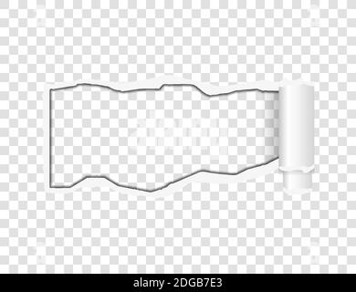 Vector illustration. Ripped paper. Torn ripped pieces Stock Vector