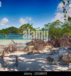 In the beautiful  island cosatline and tree Stock Photo