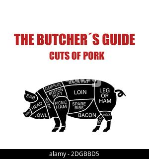 Pork Cut of meat . Butcher diagram, schemem Stock Photo