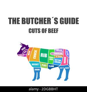 Beef Cut of meat . Butcher diagram, schemem Stock Photo