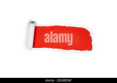 White Torn paper over a blank red background for message, copy space or space for text. minimalism isolated on white, modern design Stock Photo