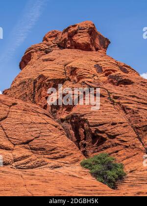 Cliffs near campground, Snow Canyon State Park, Saint George, Utah. Stock Photo