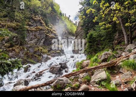 Rapid rapid mountain waterfall among the pine forest Stock Photo