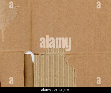 brown corrugated cardboard texture with visible layers useful as a ...