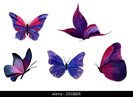 watercolor butterflies on a transparent background Stock Photo