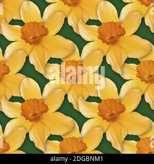 Narcissus Seamless Texture Background Pattern Stock Photo