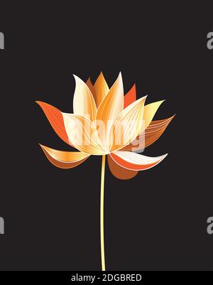 Lotus Logo with Gold Flower on Dark Green Background, Vector ...