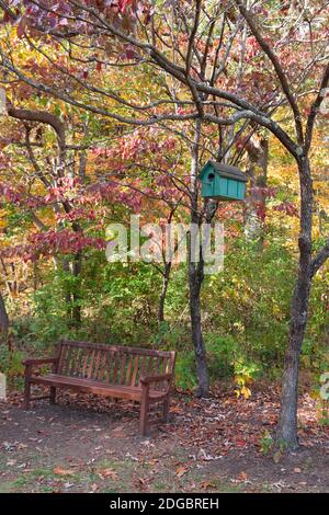 Colorful handmade wooden green/teal birdhouse hanging from tree branch during fall season in Lasdon Park, Westchester, New York, USA. Stock Photo