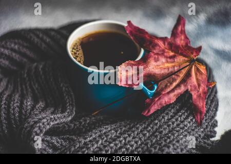 Americano coffee next to an autumn leaf and scarf Stock Photo